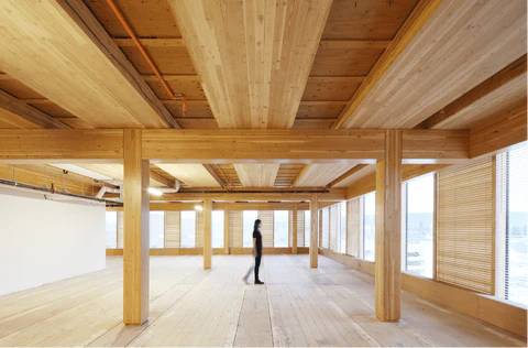 Cross-Laminated Timber (CLT) — The Game-Changer in Modern Wood Construction imgae